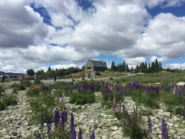 Church of the Good Shepherd Lake Tekapo