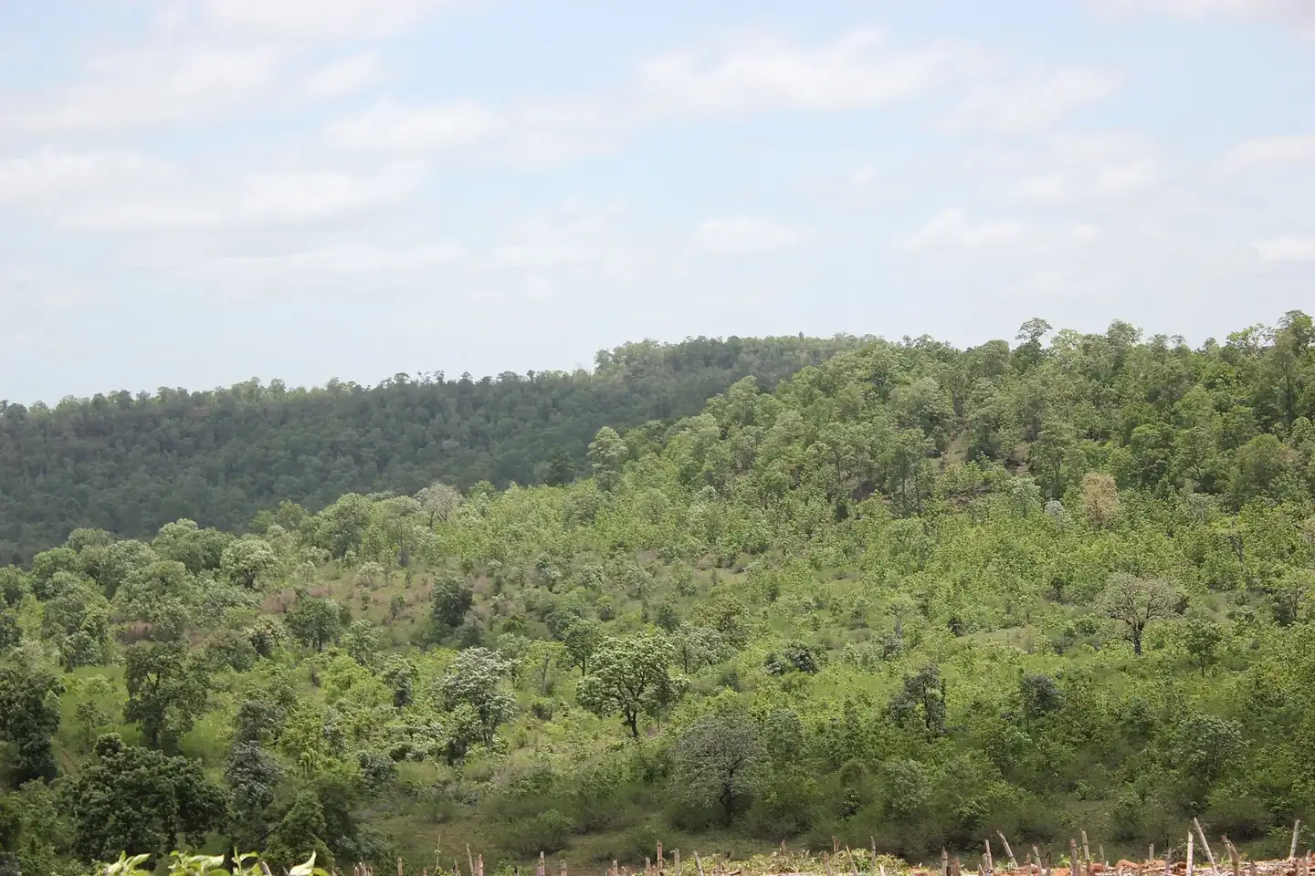 Pocharam Sanctuary