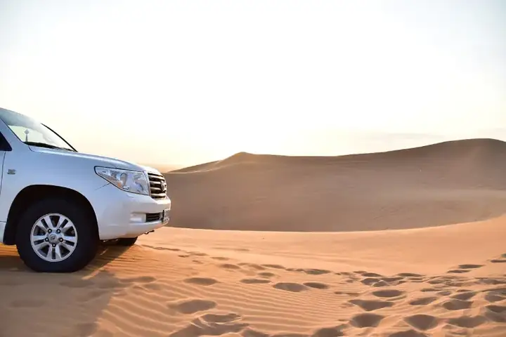 Desert Dune