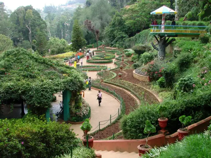 Botanical Gardens - Ootacamund - India