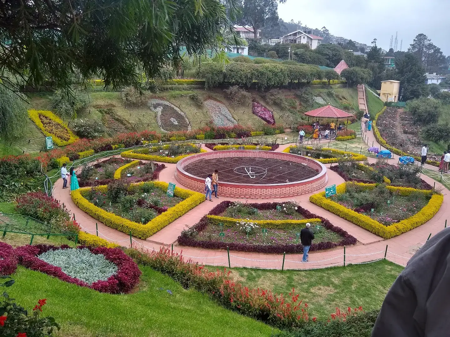 Government Rose Garden, Ooty, Tamil Nadu, India