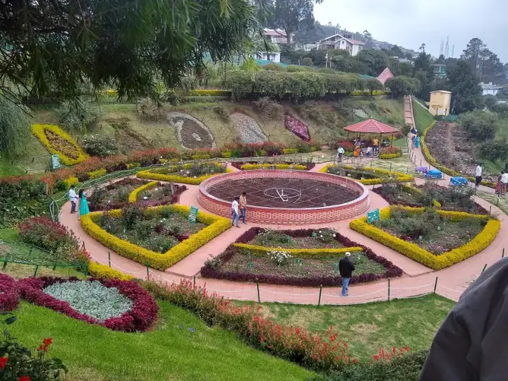 Government Rose Garden, Ooty, Tamil Nadu, India