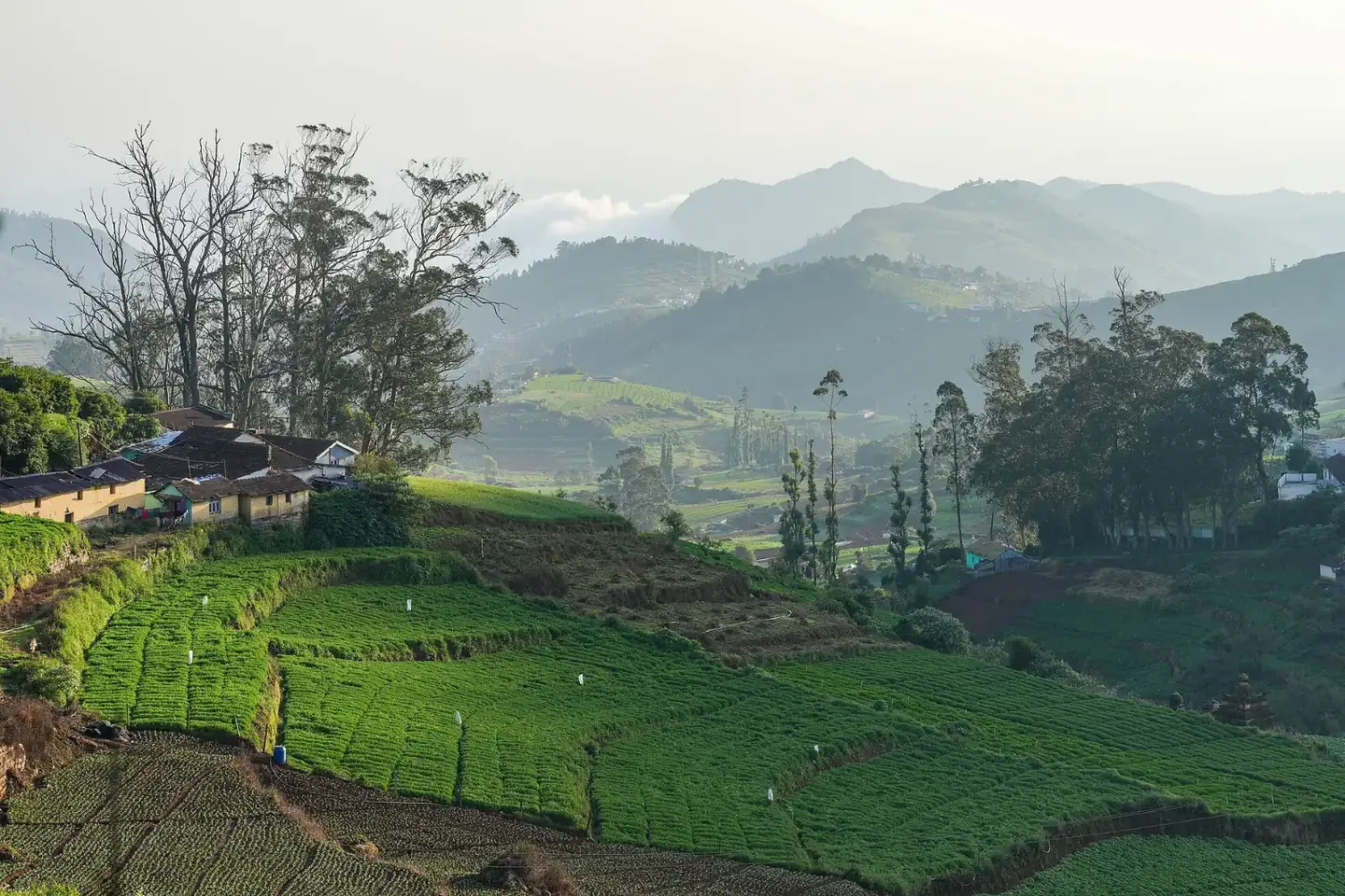Fields Hazy Mountains Marlimund Ooty Nilgiris