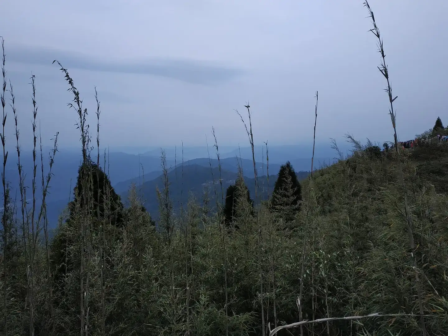 Views around Tiger Hill
