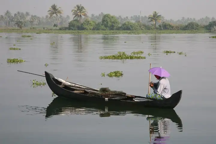 Kerala backwater -11