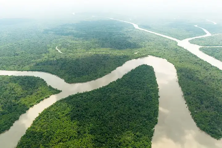 Mangrove Channels