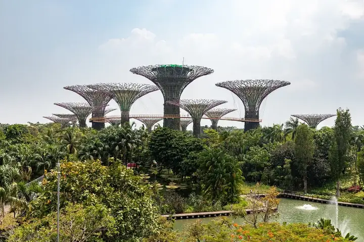 Singapore , Gardens by the Bay, Supertree Grove