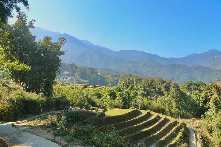 Rice terraces in Vietnam