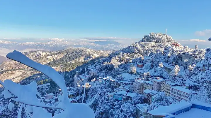 Shimla Family Tour