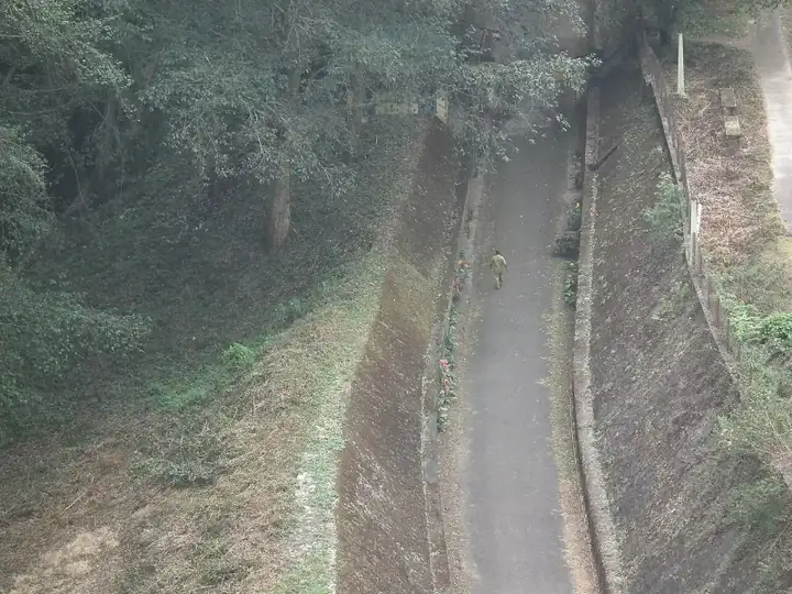 Mattupetty Dam Area