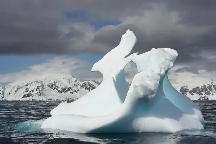 once an iceberg now a Growler and a scupture V P