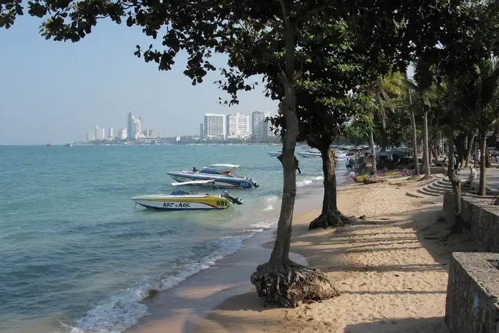 Pattaya Beach, Trees, Thailand