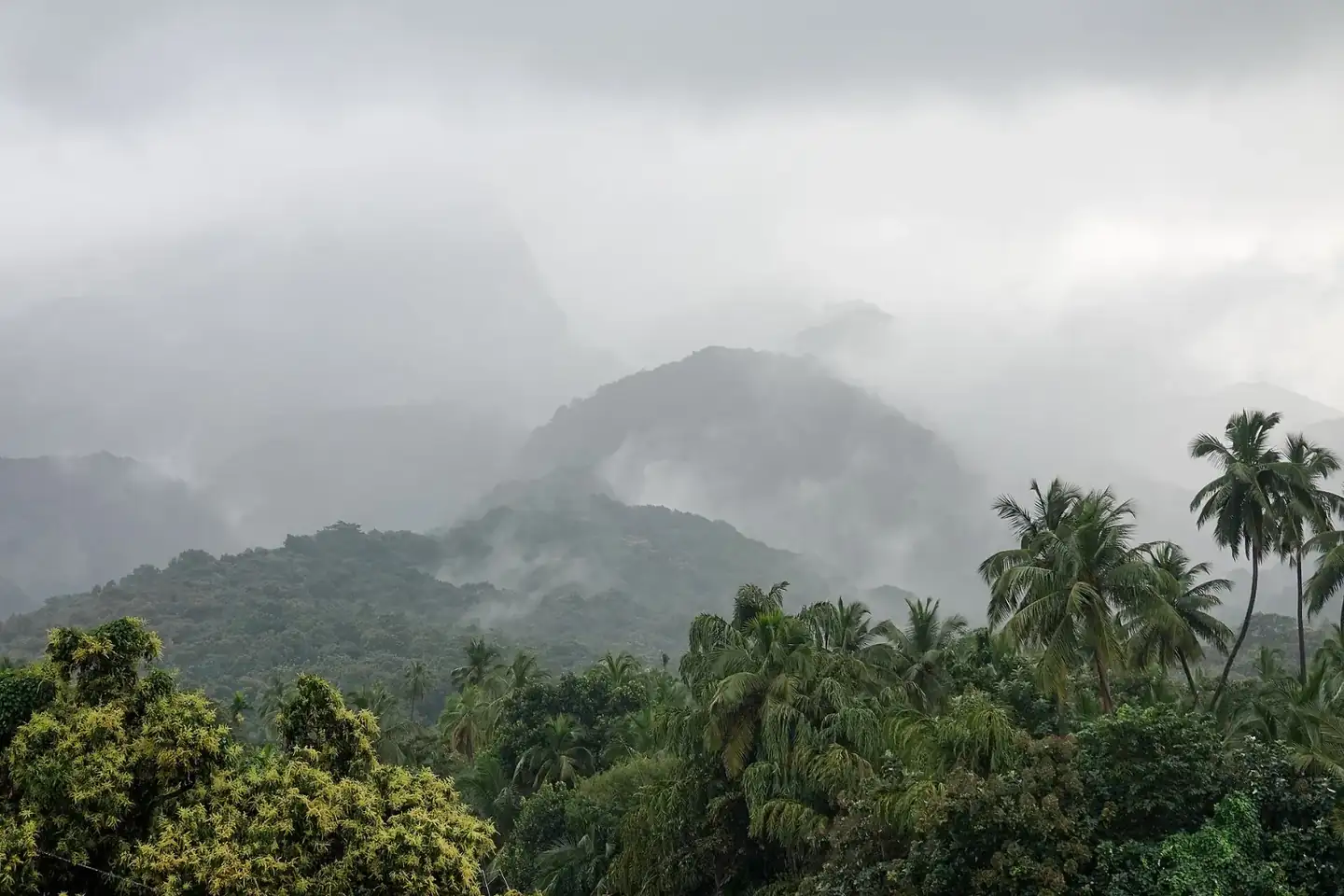 Mist Mountains Courtallam TN