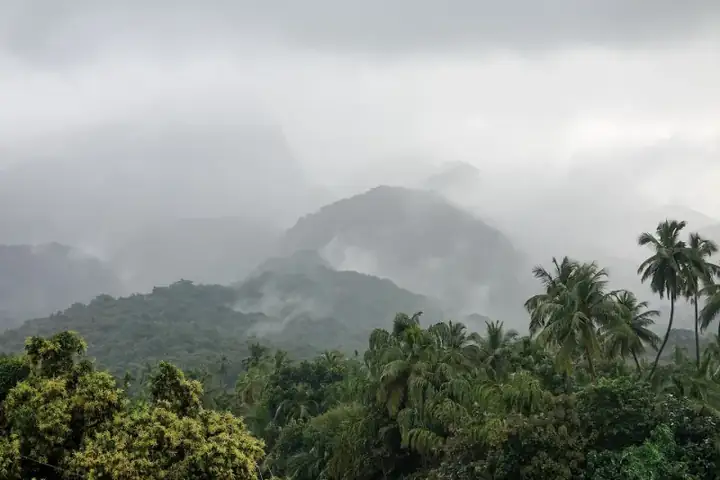 Mist Mountains Courtallam TN
