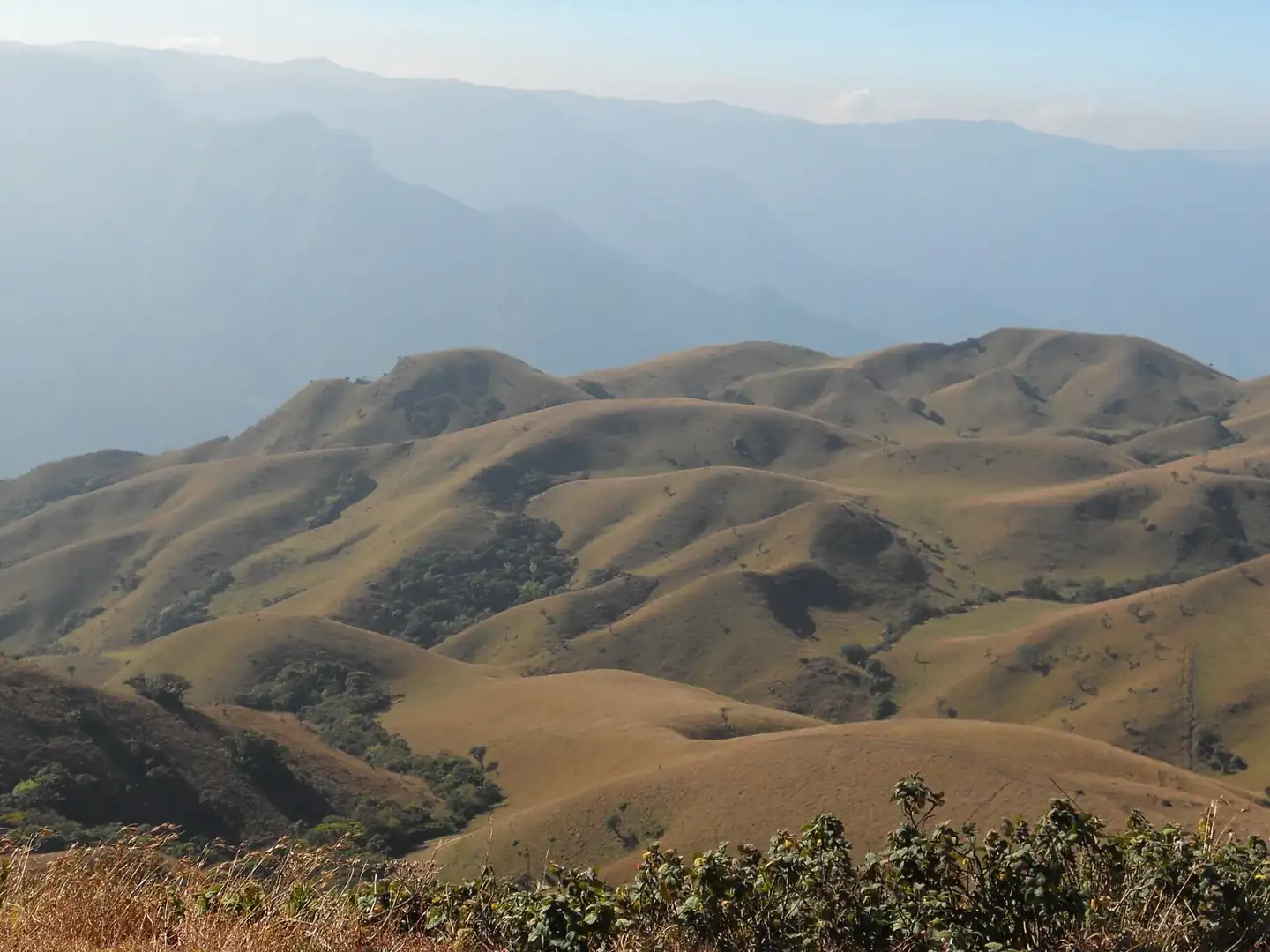 Mukurthi national park - panoramio