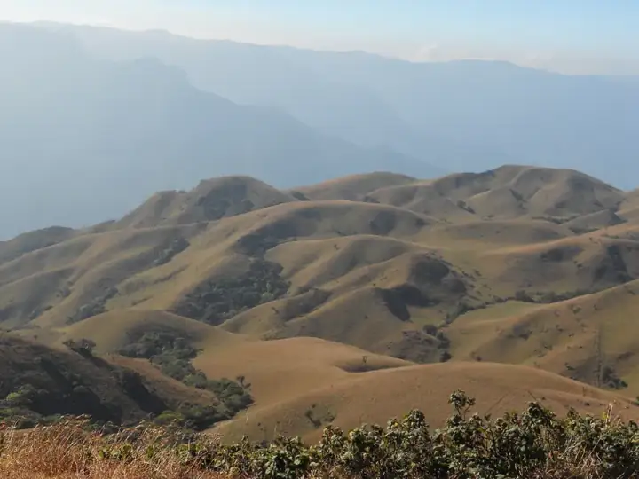 Mukurthi national park - panoramio