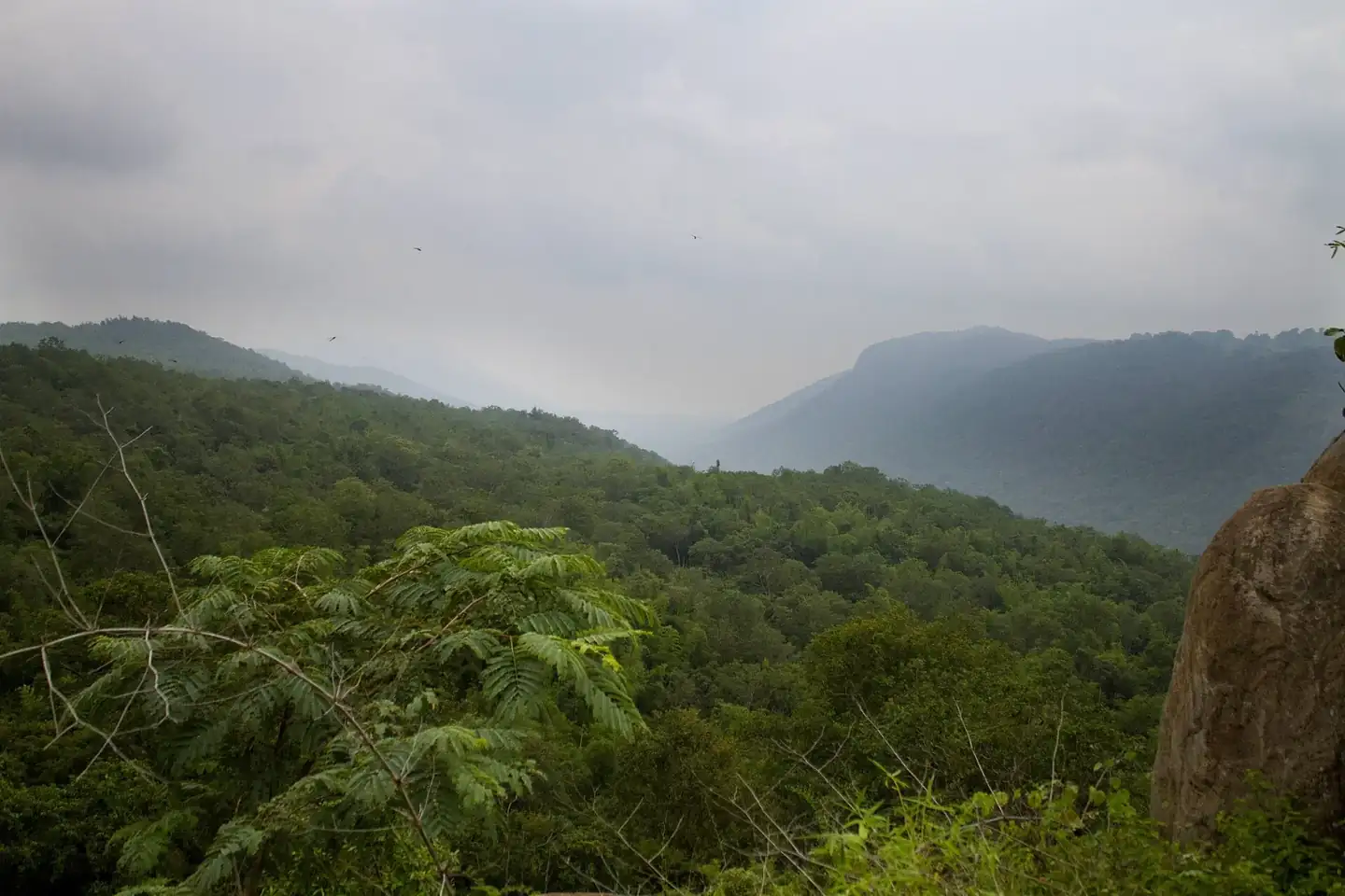 Spider Valley Aiyur Melagiri