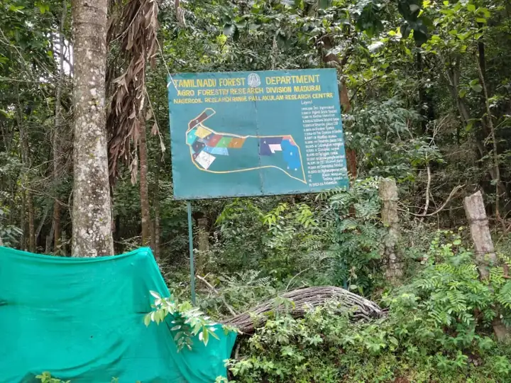 Kalikesam forest checkpost