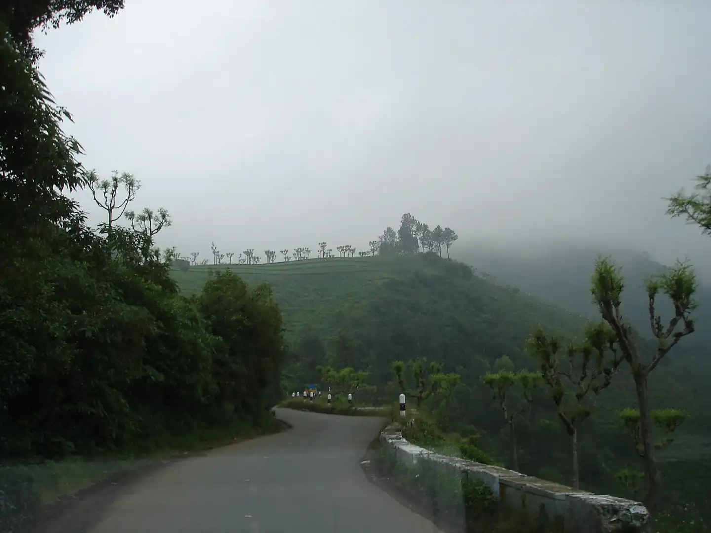 Misty hills kotagiri ooty tamilnadu - panoramio