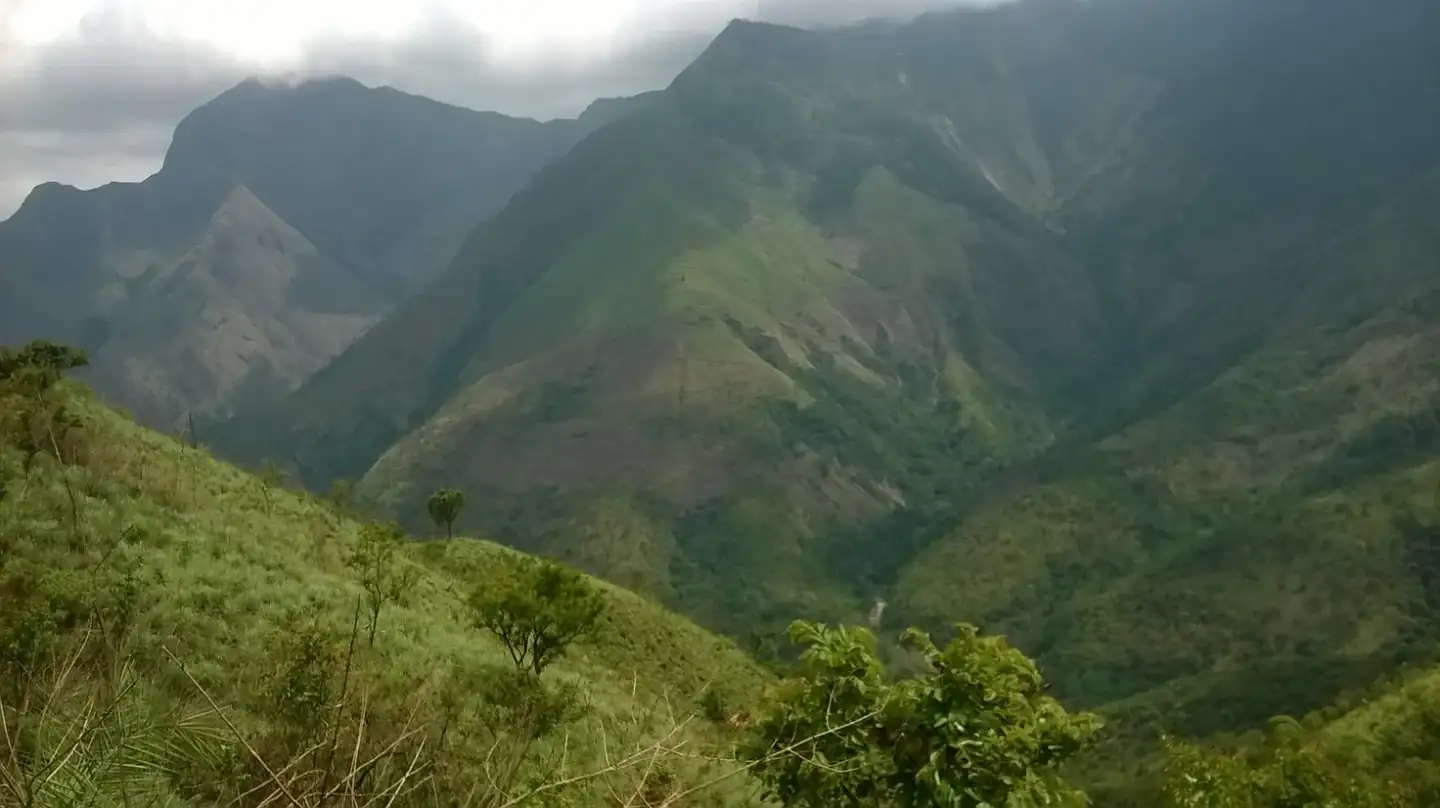Kurangani hills