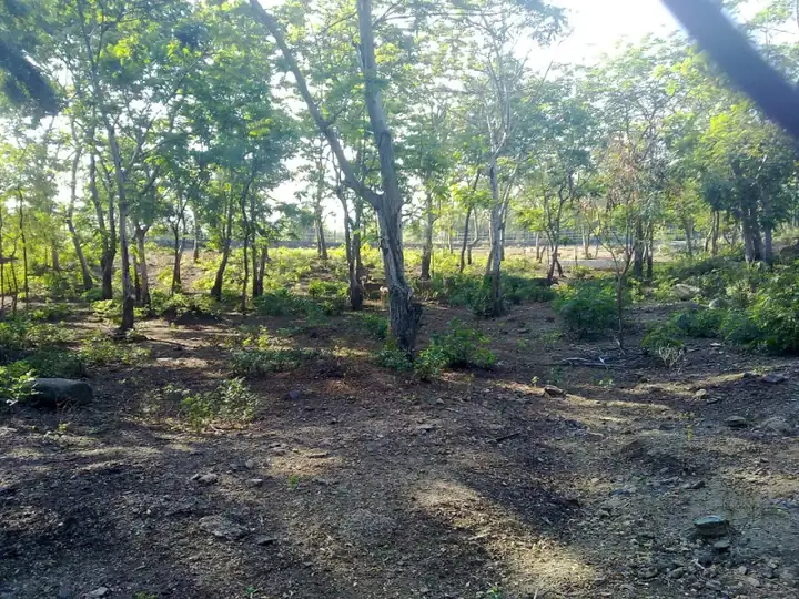 KURUMBAPATTI ZOOLOGICAL PARK, SALEM - panoramio