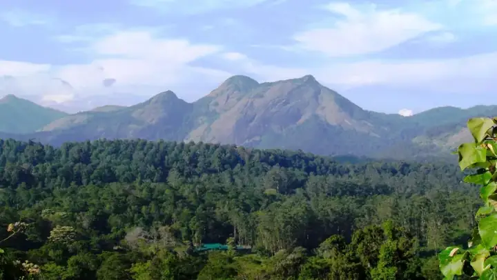 Valparai Forest - panoramio