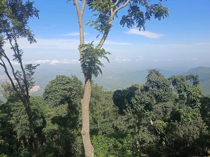 Yercaud down view