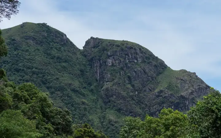 Frog Hill Nilgiris Tamil Nadu
