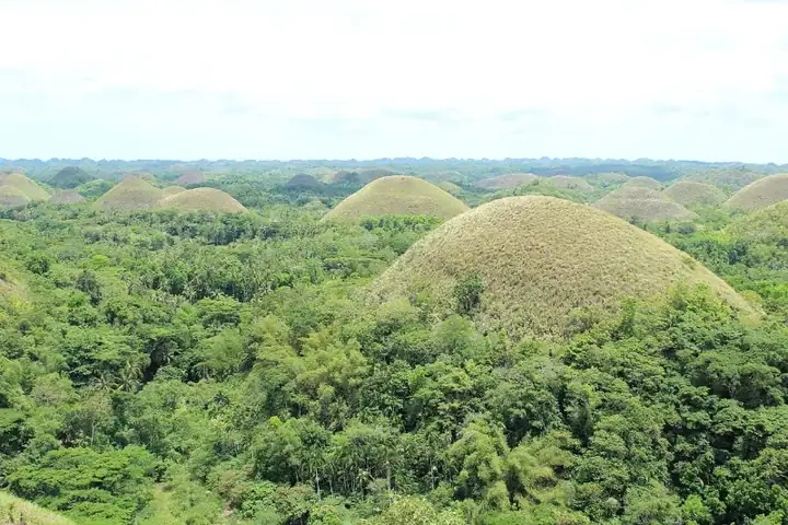 Chocolate Hills Carmen Bohol