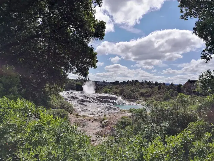 Pohutu Geyser Whakarewarewa Village anagoria