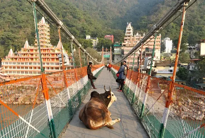 Laxman Jhula Bridge
