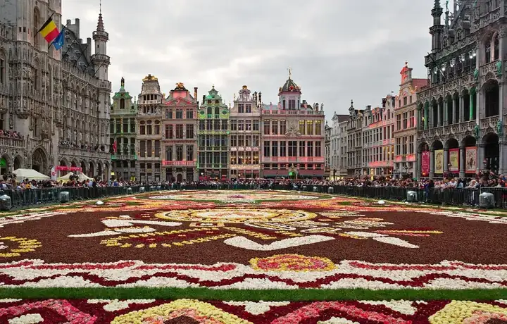 flower carpet at Grand Place, Brussels