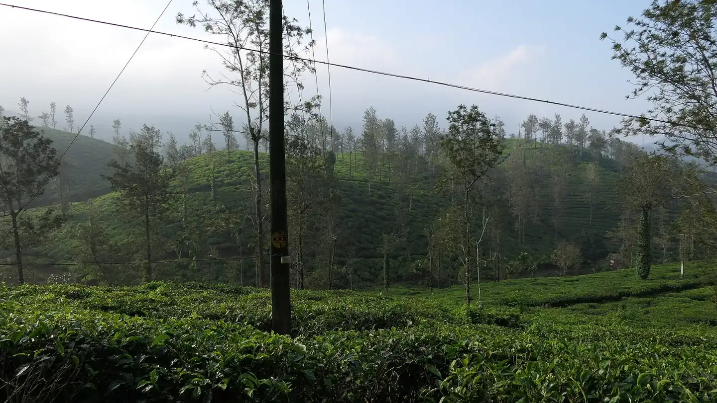 Vythiri