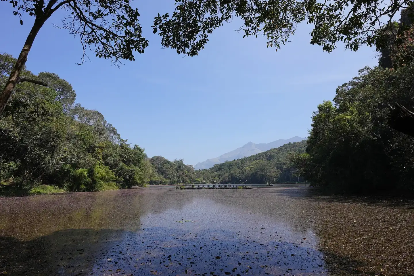 Wayanad - Pookode Lake