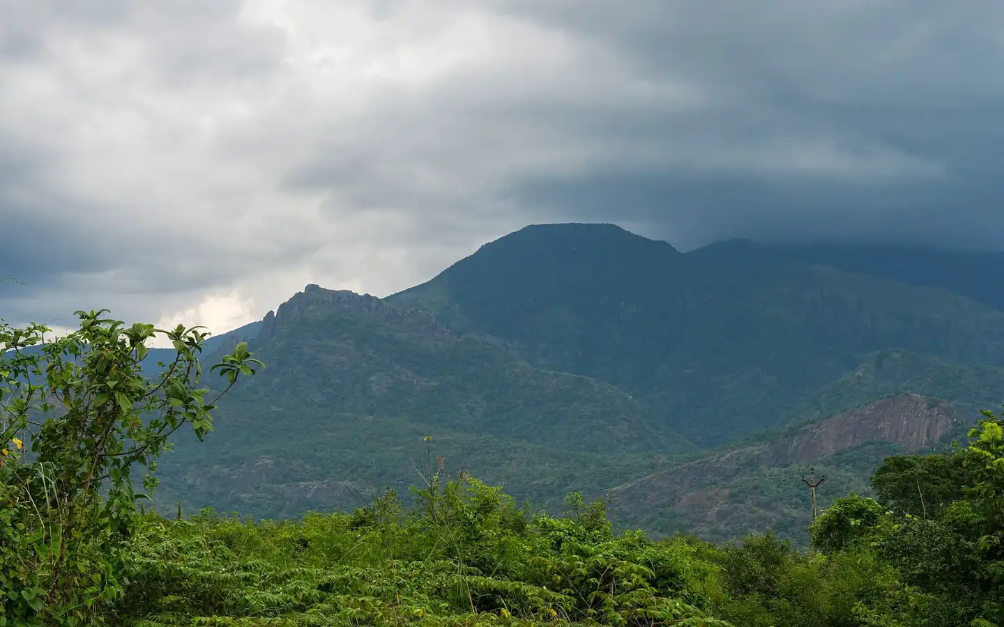 Western Ghats Rajapalayam