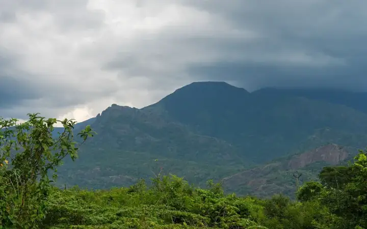 Western Ghats Rajapalayam