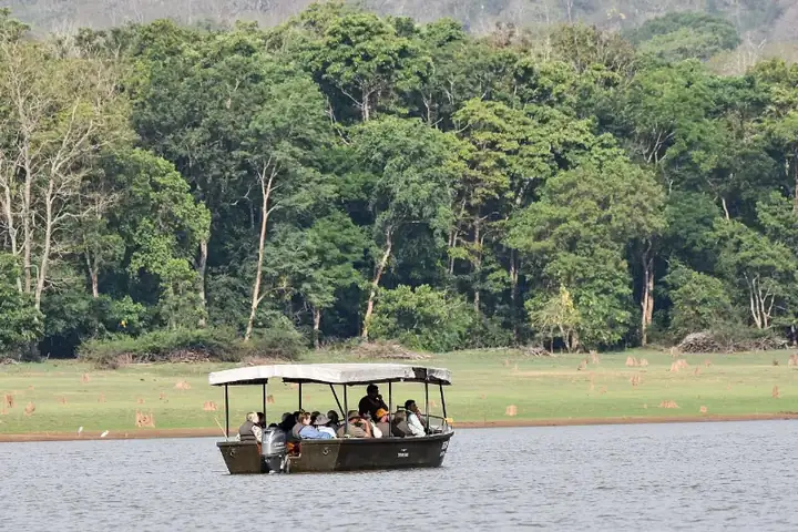 Safari Boat Heron Kabini