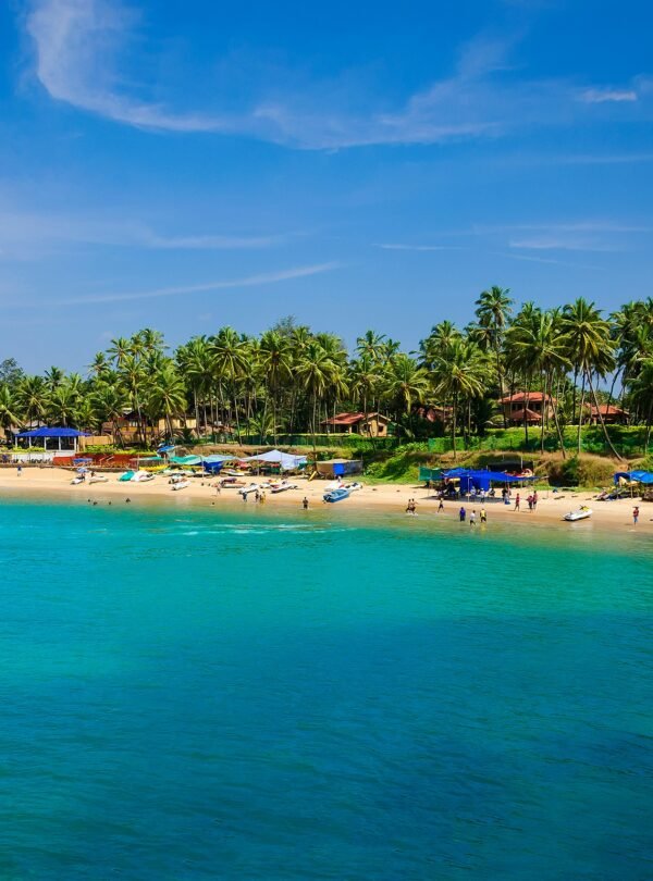 alexey-turenkov-bWJiSZjIgTM-unsplash